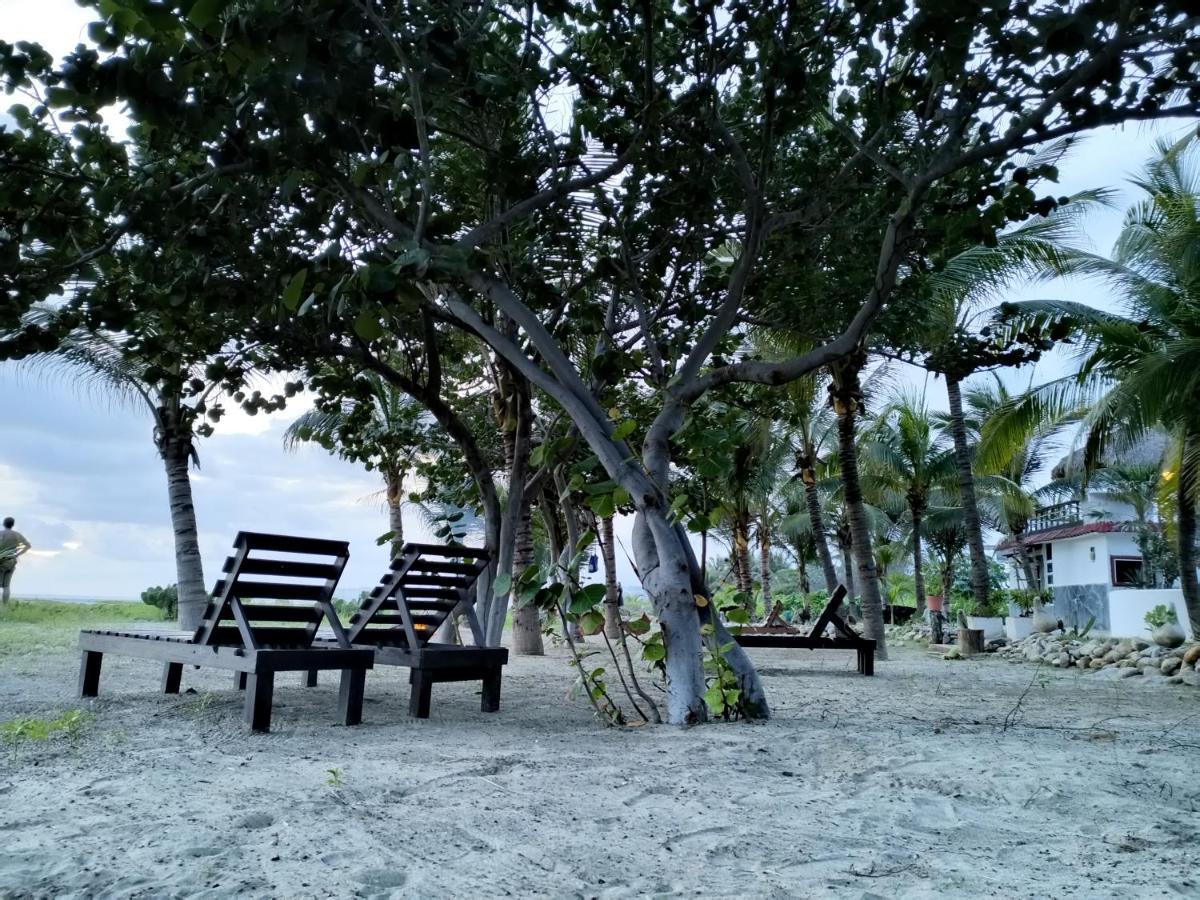 Casa Palma Beach House Brisas de Zicatela Екстер'єр фото
